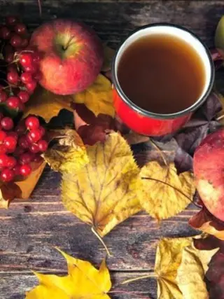 Fall High Tea at the Orchard at Tourism Regina, Regina