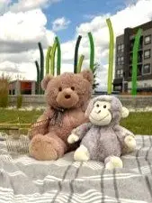 Teddy Bear Picnic at Tourism Regina, Regina