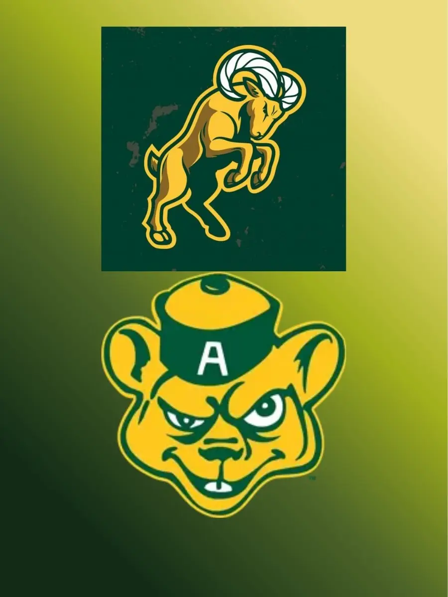 Rams vs. Golden Bears at Mosaic Stadium, Regina