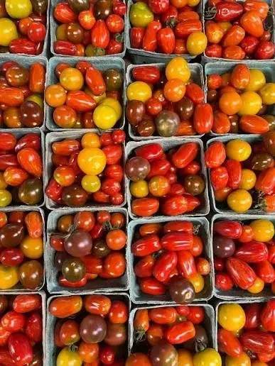 Regina Farmers’ Market Tomato Festival at Legislature Building, Regina
