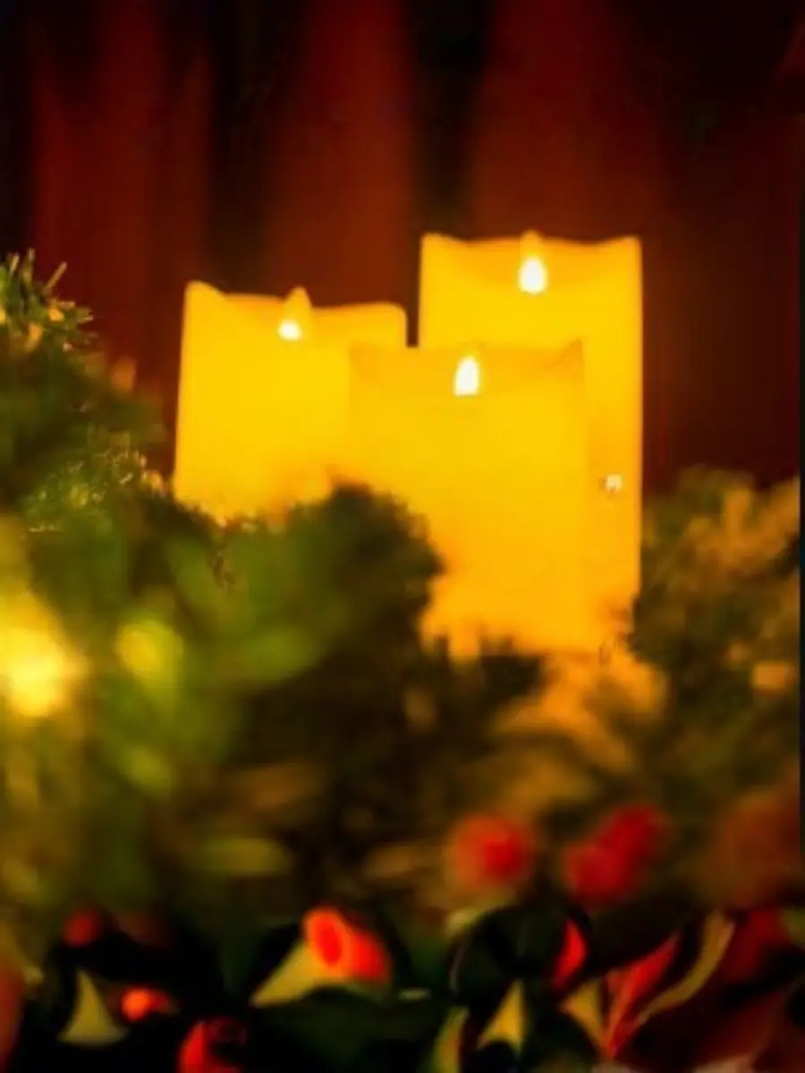 Candlelight Concerts: Christmas Carols On Strings at Hotel Saskatchewan, Regina